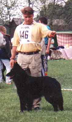 Bacille and her owner at "SBU", the Swedish specialty in 1996, where she was BoS