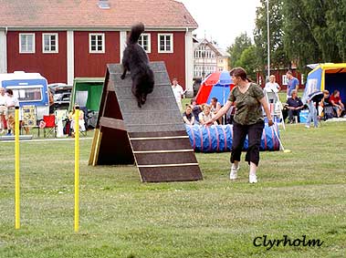 Leksand, July 2004