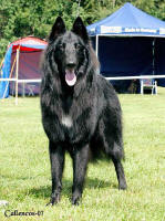 2nd best male at the big Swedish specialty, August 4, 2007